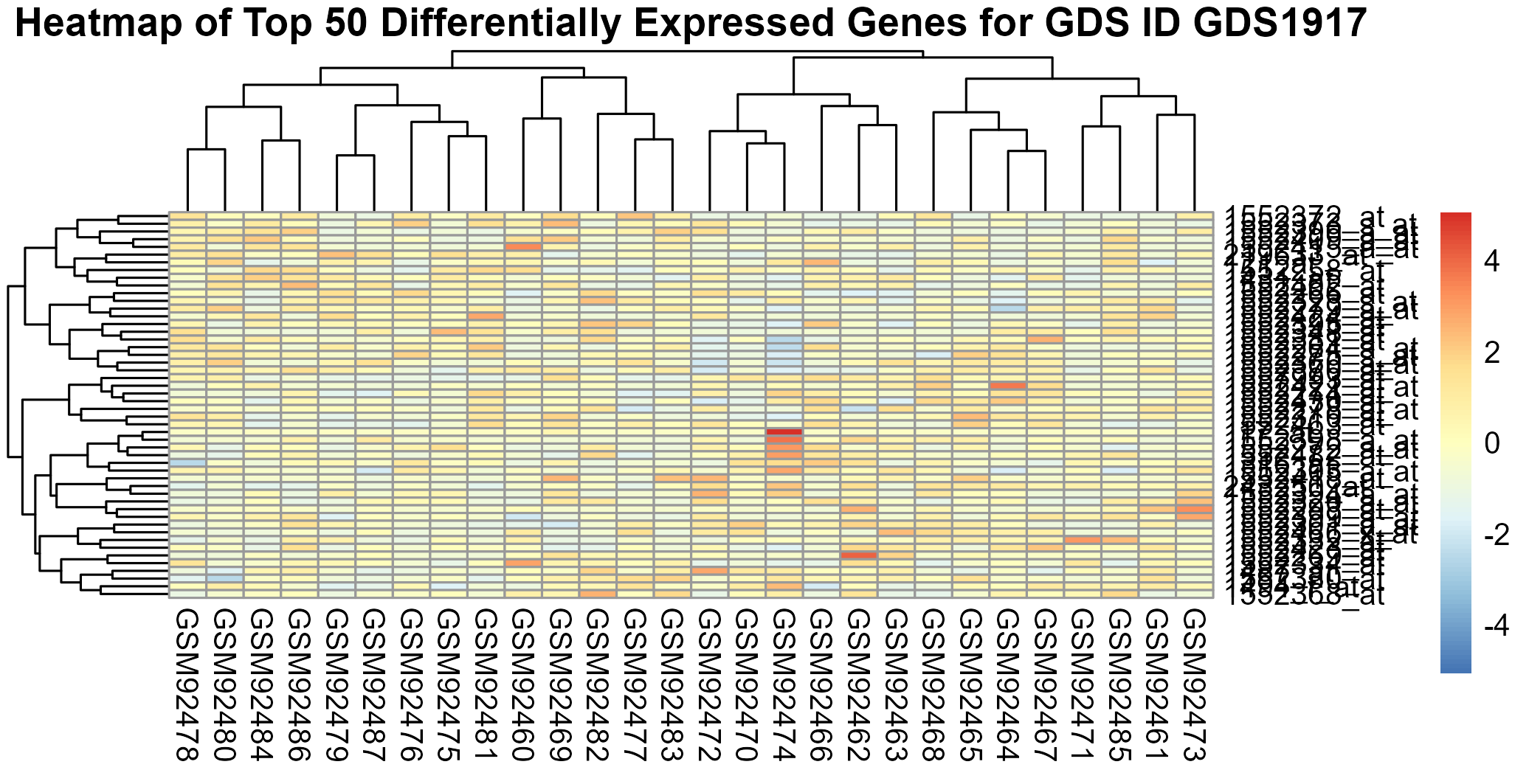 data_analysis/results/expr_dea_perindividual_graphs/heatmap_GDS1917.png