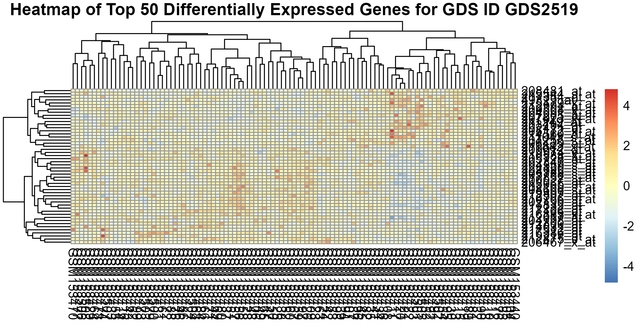 data_analysis/results/expr_dea_perindividual_graphs/heatmap_GDS2519.png