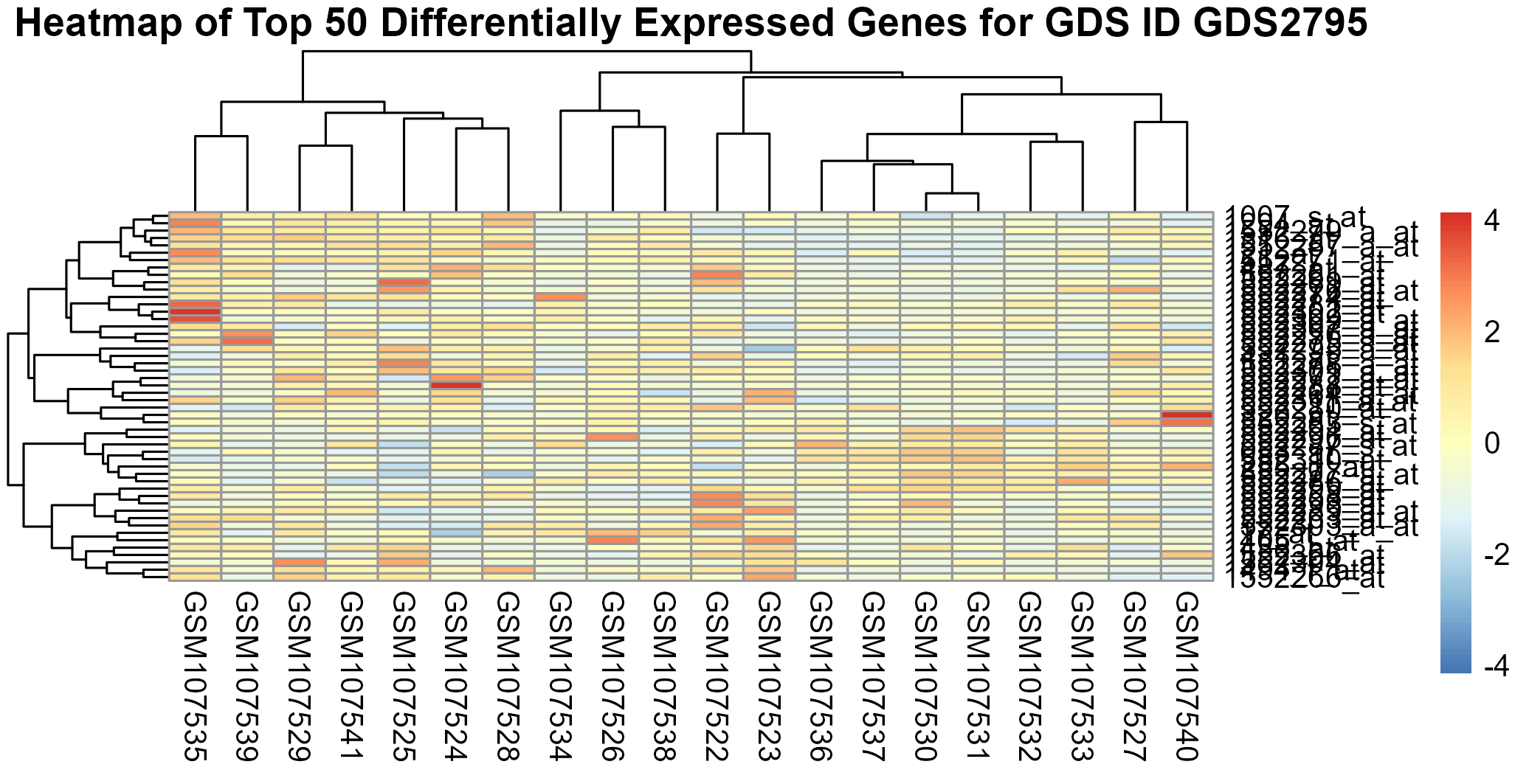 data_analysis/results/expr_dea_perindividual_graphs/heatmap_GDS2795.png